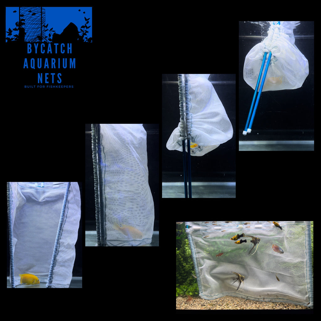 Bycatch Aquarium Nets THE Aquarium NET THAT WORKS LIKE A SEINE! 20/30/40gBreeders (16 Bycatch Aquarium Nets THE Aquarium NET THAT WORKS LIKE A SEINE! 20/30/40gBreeders (16